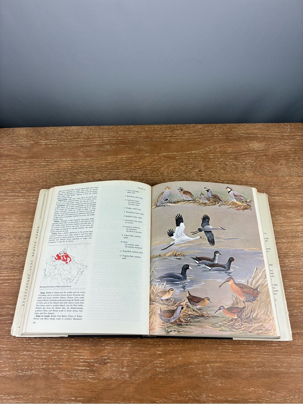 The Birds of Canada by W. Earl Godfrey – Vintage 1966 Hardcover - Picture 11 of 13